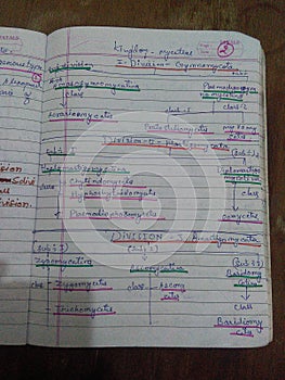 Classification of fungi