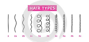 Classification of hair types - straight, wavy, curly, kinky. Scheme of different types of hair. Curly girl method