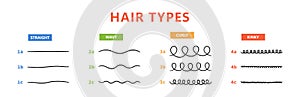 Classification of hair types - straight, wavy, curly, kinky. Scheme of different types of hair. Curly girl method