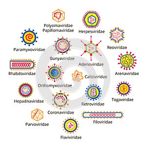 Classification of viruses.