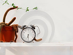 Classsic clock on white shelf and cactus pot with concrete wall