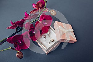 Classsic stylish jewelry. Silver ring and earrings with pearls in gift box with burgundy orchid. Fashionable accessories