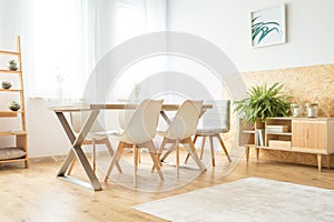 Classy interior of dining room