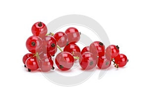 Claster of red currants