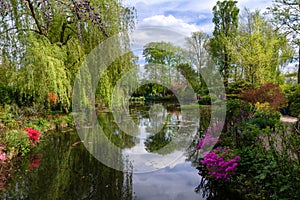 The water garden of Claude Monet in spring photo