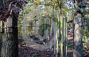 Claves and a wooden mouse on a forest playground in NeumÃÂ¼hle / Elster in Thuringia / Germany an interesting hiking area in autumn photo