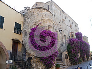 Medieval village of Cervo