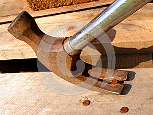 Claw hammer in action