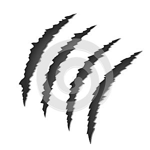 Claw scratch mark. Torn scrape trace of beast. Stock vector illustration