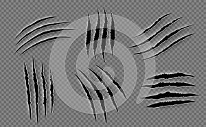 Claw scratches. Animal claw marks, claw scratches from animal attacks. Vector realistic image.