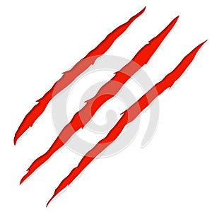 Claw scratches vector