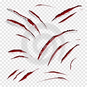 Claw scratches vector illustration