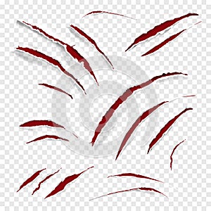 Claw scratches vector illustration photo