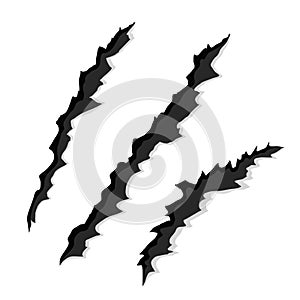 Claw Scratches on White Paper, Vector Illustration, eps10