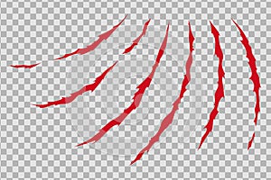 Claw scratches of wild animal. Cat scratches marks isolated in transparent background. Vector illustration