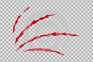 Claw scratches of wild animal. Cat scratches marks isolated in transparent background. Vector illustration