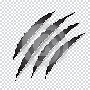 Claws scratches animal or monster on transparent background.