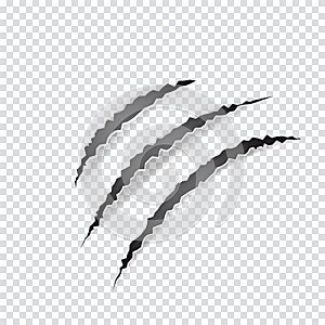 Claws scratches animal or monster on transparent background.