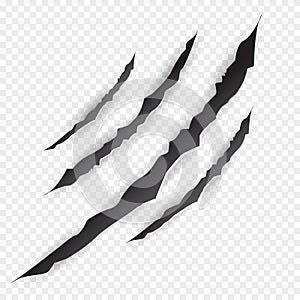 Claws scratches - vector