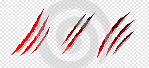 Claws scratches - vector isolated. Claws scratches animal claw tracks cat or tiger bear or lion attack nails scratches