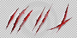 Claws scratches. Wild animal claws scratch texture with red background. Halloween monster vector scratched marked isolated