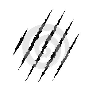 Claws scratching animal. shredded paper. Scratched surface. vector illustration