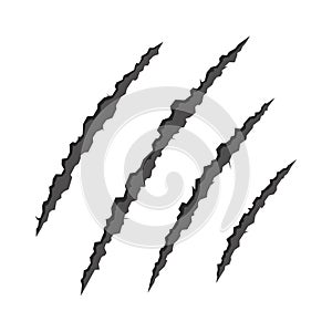 Claws Scratching Animal