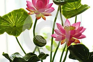 Clay art, pink lotus flower pot