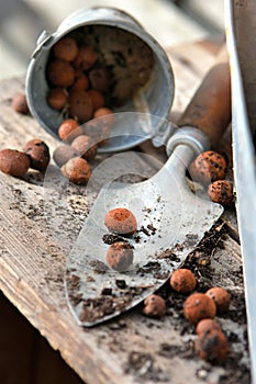 clay balls and dirt in a shovel put on a wooden table