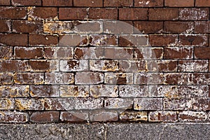 Clay brick wall with the lower part full of festering salt due to humidity. Vector brick photo