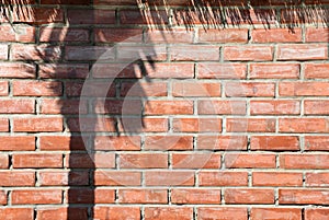 Clay Brick Wall Pattern with the shadow of sugar palm tree