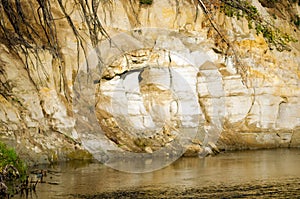 Clay cliff near the water of the river with erosional types of relief and protruding roots.