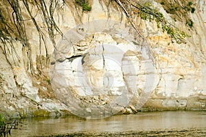 Clay cliff near the water of the river with erosional types of relief and protruding roots of collapsed pine trees.