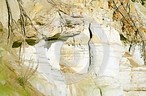 The clay cliff by the river with erosive types of terrain and exposed roots of collapsed trees in the Northern forests.