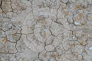 The clay cracked texture