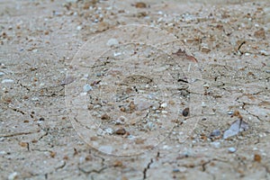 The clay cracked texture