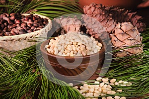 Clay cup full of shelled cedar nuts on the background of cedar cones and branches