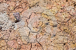 Clay eolian soil texture with cracks