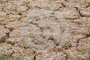 clay ground desert texture, dry cracked earth background. Global warming