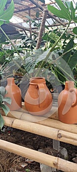 Clay jugs for display in the living room or home decoration add to the beauty of the room