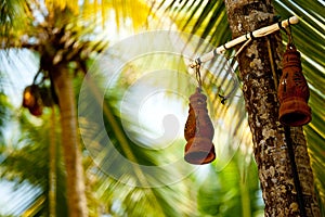 Clay lamp and palm tree