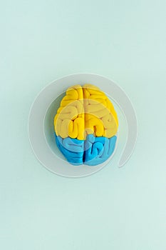 Clay model of human brain. Mental health bckground, top view