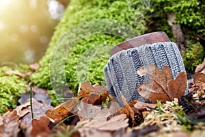 Clay mug in woolen cover stands in the autumn foliage in sunny forest. Background of green moss.