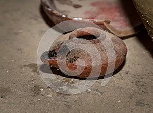 The clay oil lamp in Nazareth Village, Israel