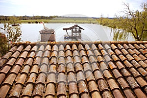 Clay old roof tiles pattern in Spain