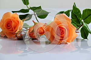 Clay orange roses flower on white background
