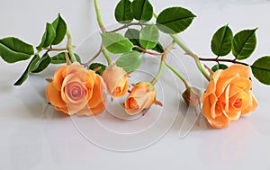 Clay orange roses flower on white background