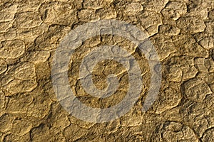 Clay patterns in Deadvlei, Namib-Naukluft National Park, Namibia