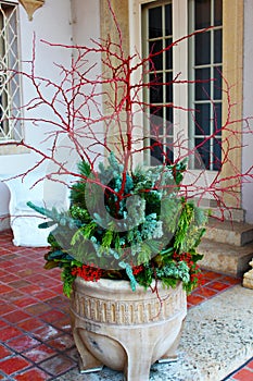 Clay pot of Christmas greenery on a terrace with red berries and red branches - Christmas decor