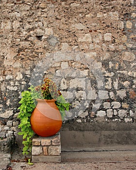 Clay pot with flowers